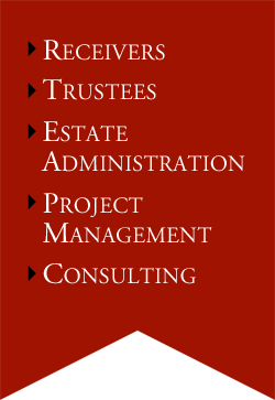 Receivers, Trustees, Estate Administration, Project Management, Consulting